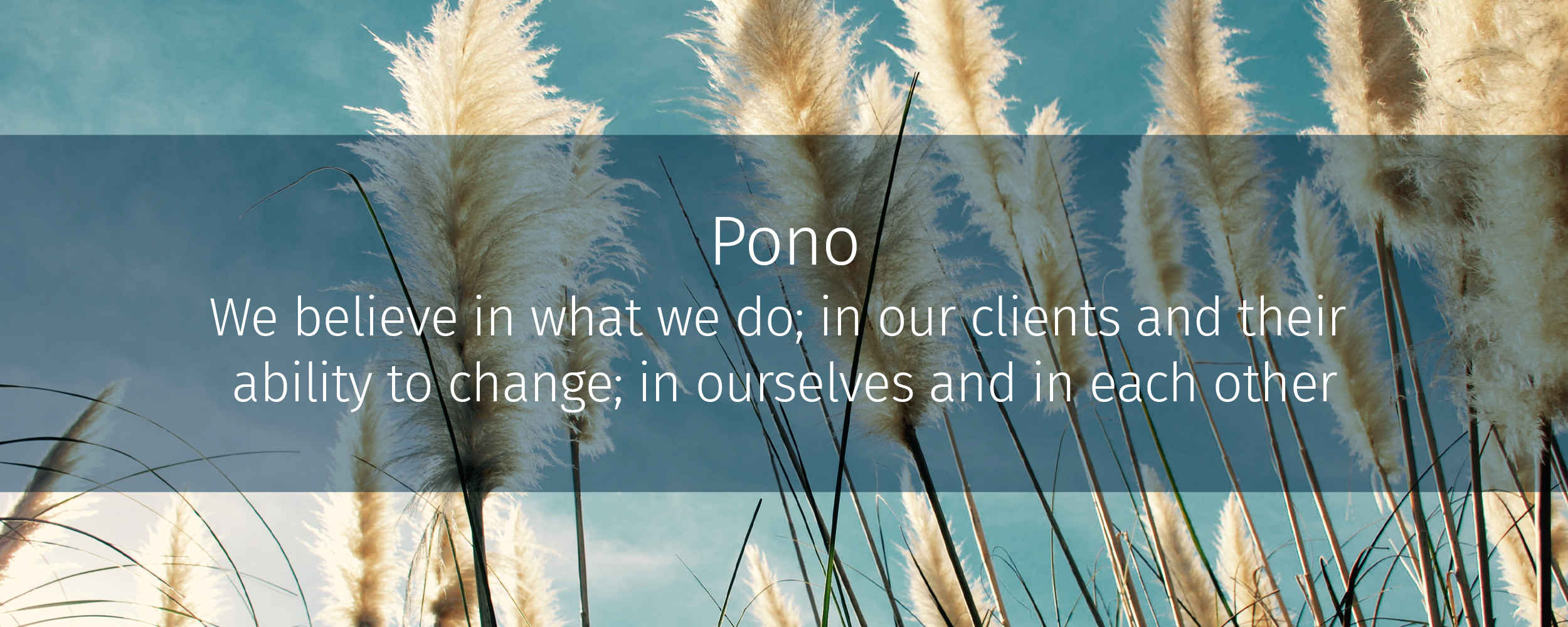Pono: we believe in what we do; in our clients and their ability to change; in ourselves and in each other