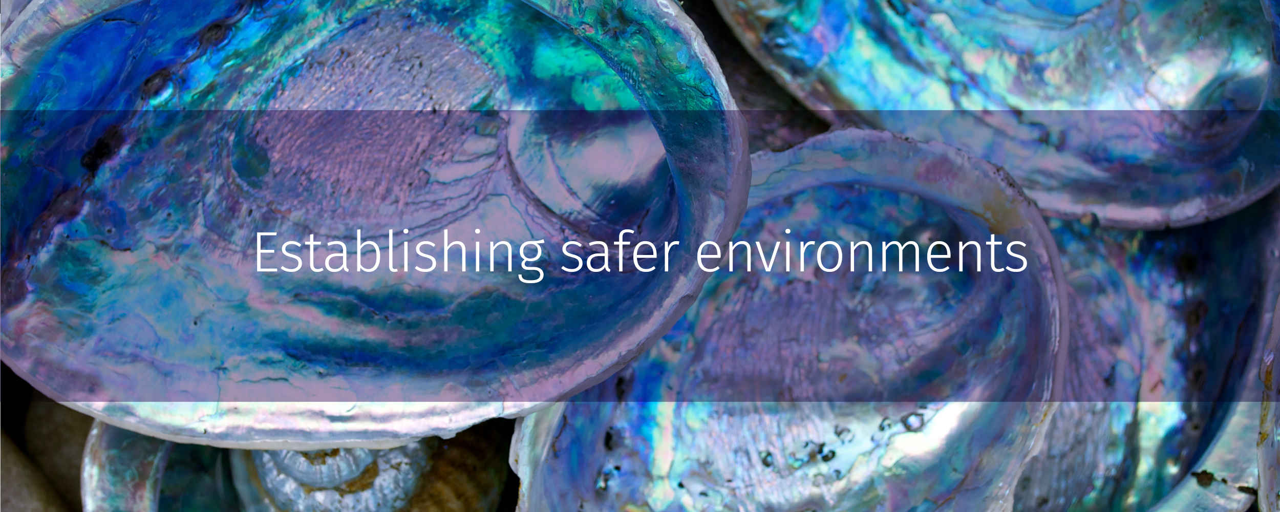 Establishing safer environments