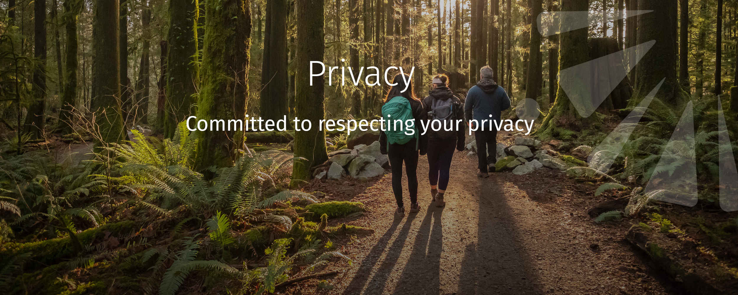 Committed to respecting your privacy
